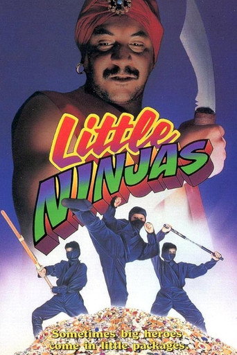 Little Ninjas movie poster