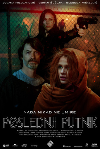 The Last Passenger movie poster