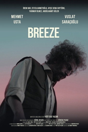 Breeze movie poster