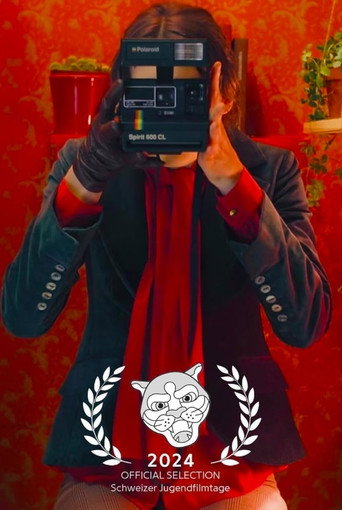 Diary of a Photobooth movie poster