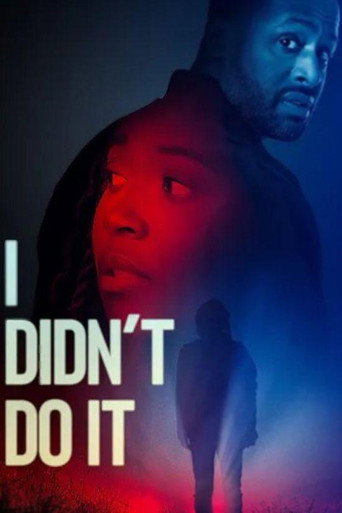 I Didn't Do It movie poster