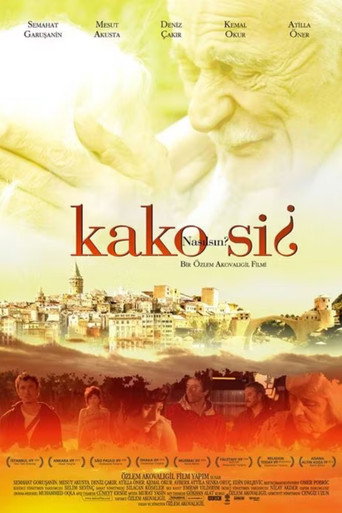 Kako Si? movie poster