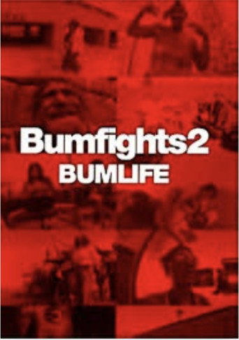 Bumfights 2:Bumlife movie poster