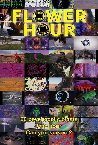 FLOWER HOUR movie poster