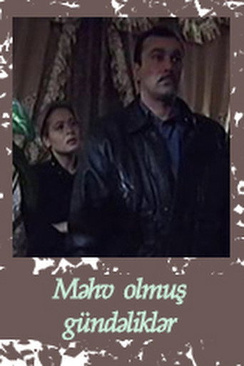 Destroyed Diaries movie poster