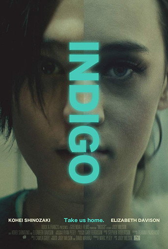 Indigo movie poster