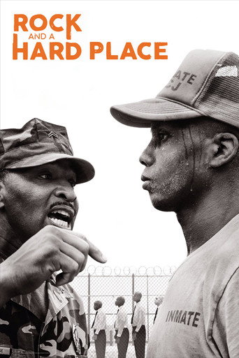 Rock and a Hard Place movie poster