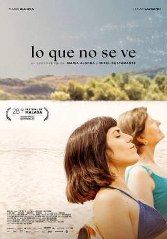 Lo que no se ve movie poster