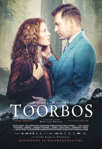 Toorbos movie poster
