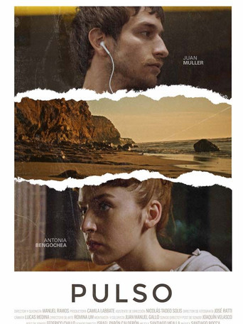 Pulse movie poster