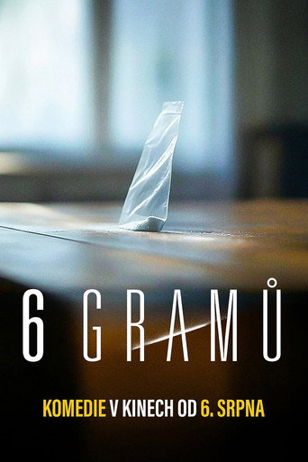 6 gramů movie poster