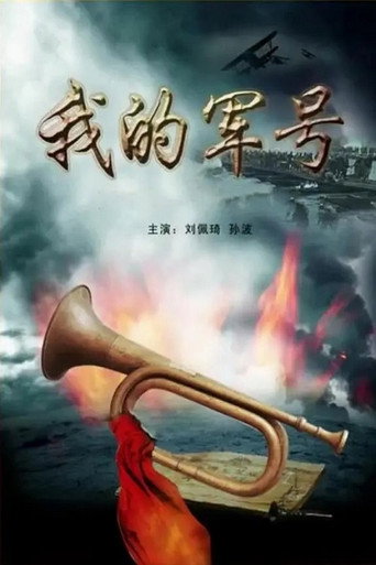 我的军号 movie poster