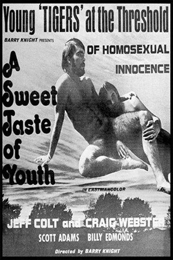 A Sweet Taste of Youth movie poster