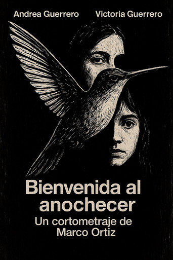 Bienvenida al Anochecer movie poster