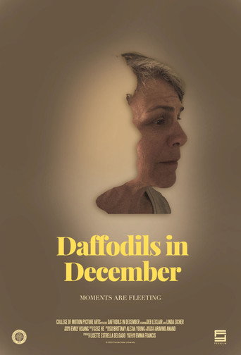 Daffodils in December movie poster