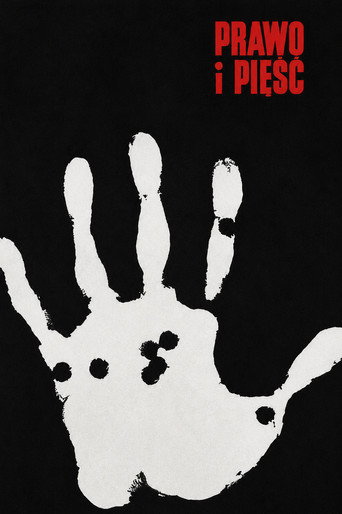 The Law and the Fist movie poster