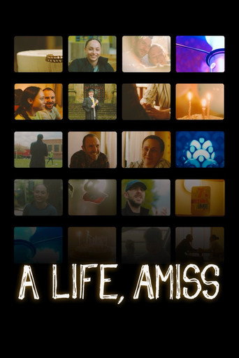 A Life, Amiss movie poster