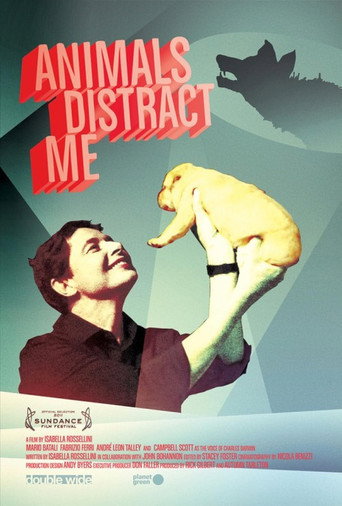 Animals Distract Me movie poster