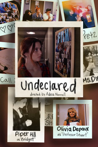 Undeclared movie poster