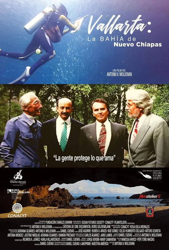 Vallarta movie poster