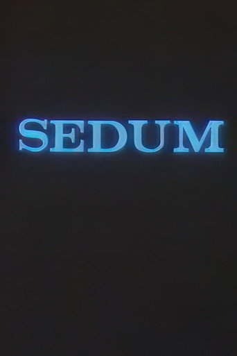 The Seven movie poster