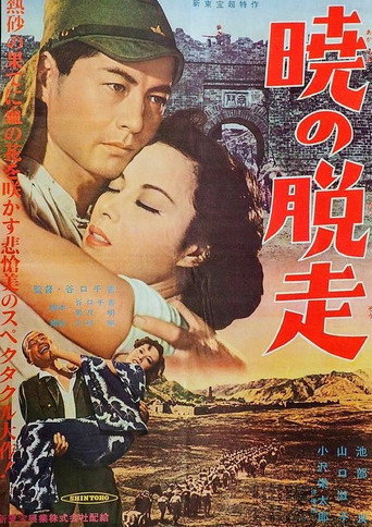 Escape at Dawn movie poster