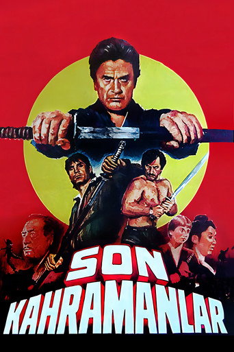 Son Kahramanlar movie poster