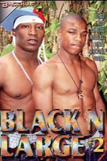Black n Large 2 movie poster