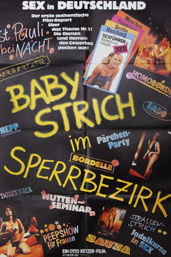 Babystrich im Sperrbezirk movie poster