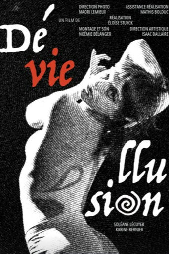 Déviellusion movie poster