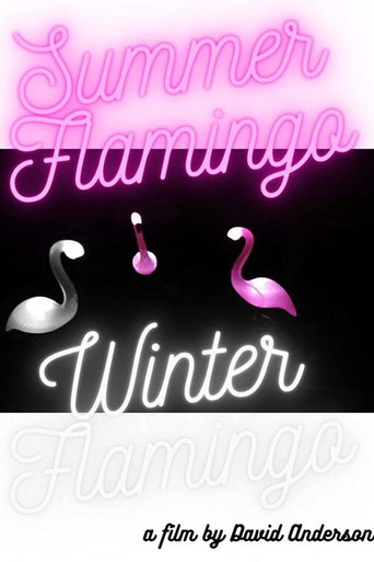 Summer Flamingo Winter Flamingo movie poster