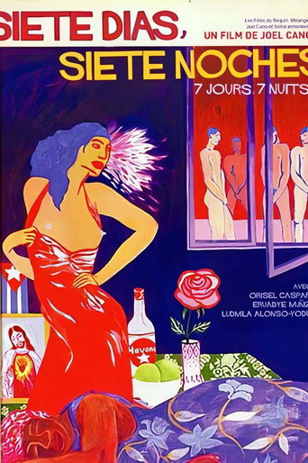 Seven Days, Seven Nights movie poster