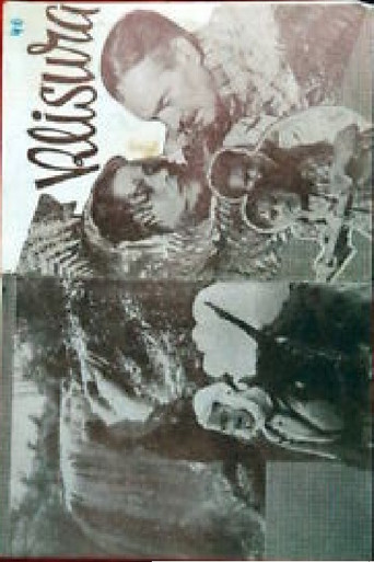 Canyon movie poster