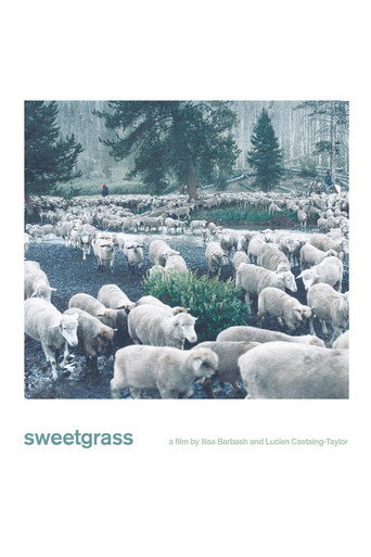 Sweetgrass movie poster