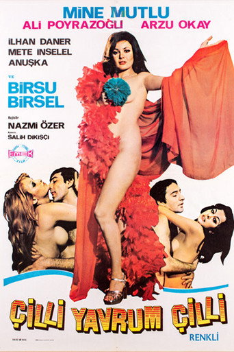 Çilli Yavrum Çilli movie poster
