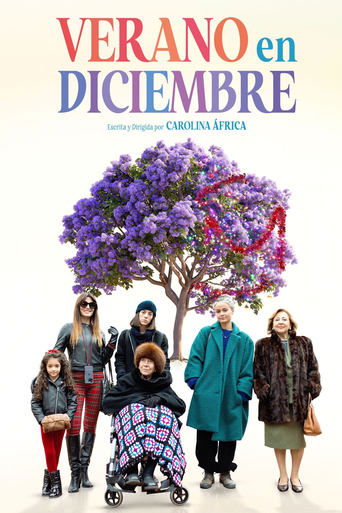 Family Affairs movie poster