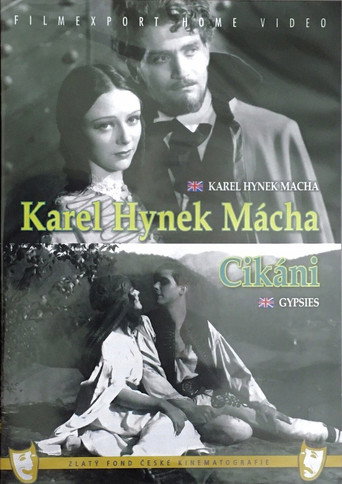 Gypsies movie poster