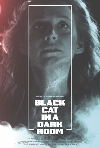 Black Cat in a Dark Room movie poster