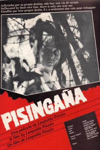 Pisingaña movie poster
