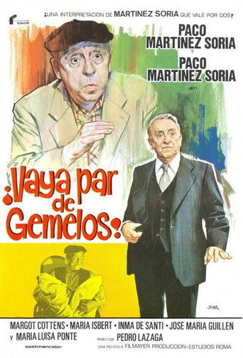 ¡Vaya par de gemelos! movie poster