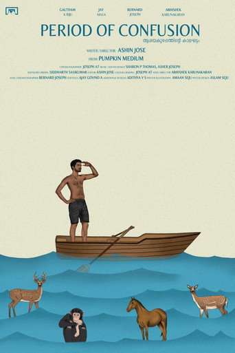 Period of Confusion movie poster