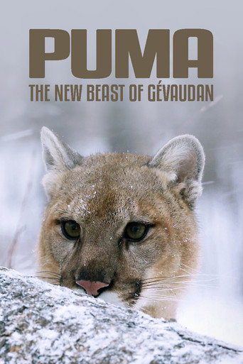 Cougar: On the Trail of the Ghost Cat movie poster
