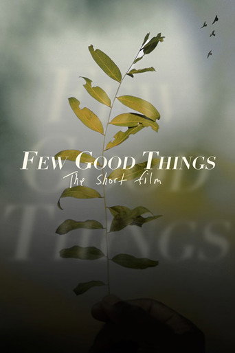 Few Good Things movie poster
