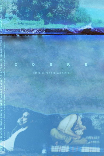 Copper movie poster