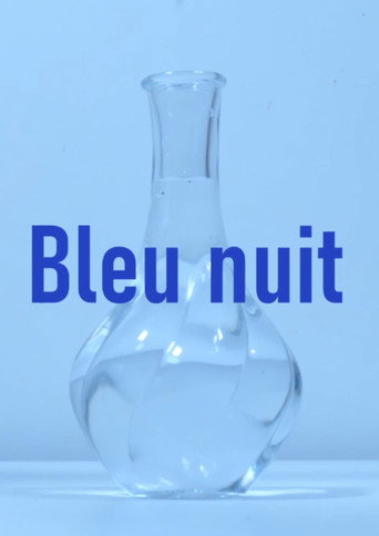 Bleu nuit movie poster