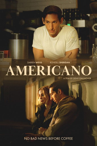 Americano movie poster