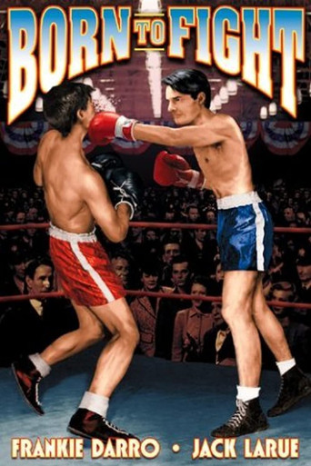 Born to Fight movie poster