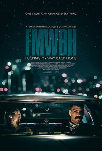 Fucking My Way Back Home movie poster