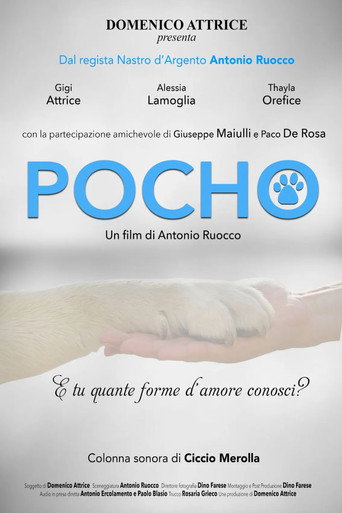 Pocho movie poster