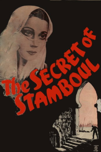 The Secret of Stamboul movie poster